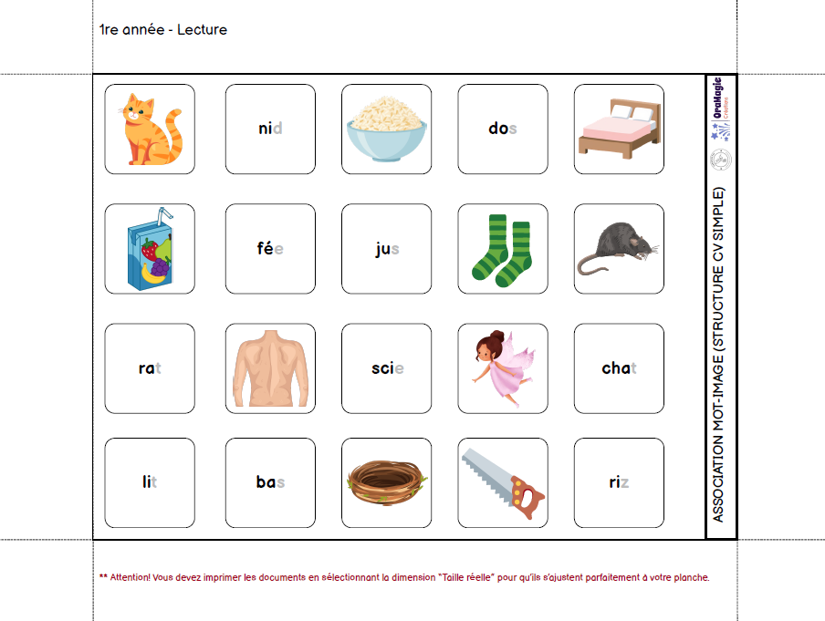 Planche d'automne | Outil de langage et de mathématique | En collaboration avec OraMagie